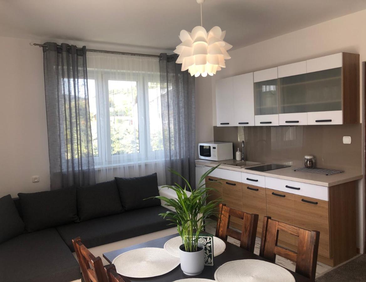 Apartament U Gogoca Tylicz Exterior foto